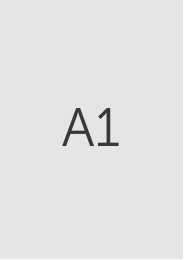 A1